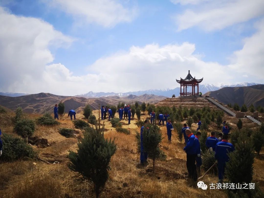 1650608548929295.jpg 640.jpg