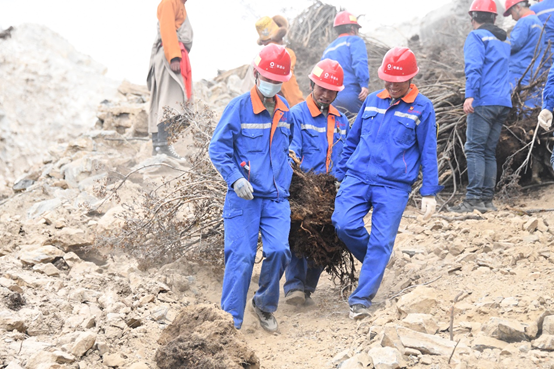 1650707918334447.png image.png