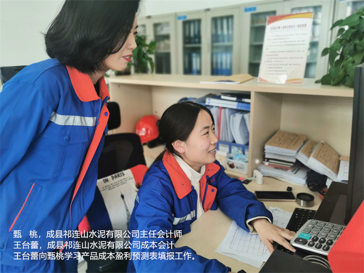 甄桃  王臺蕾  成縣祁連山水泥有限公司  成本會計王臺蕾向主任會計師甄桃學習產品成本盈利預測表填報工作.jpg