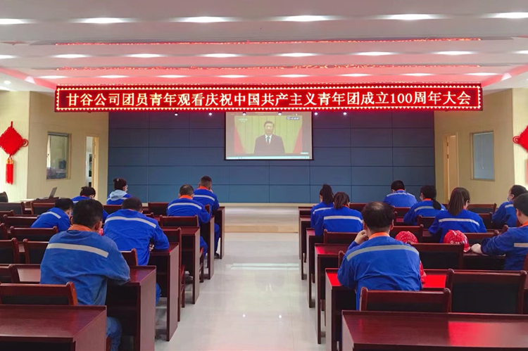 1652236911125310.jpg 甘谷公司_副本.jpg