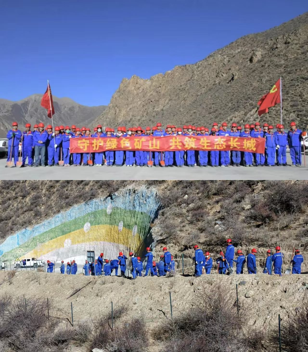 1742268664257671.png 西藏植樹.png