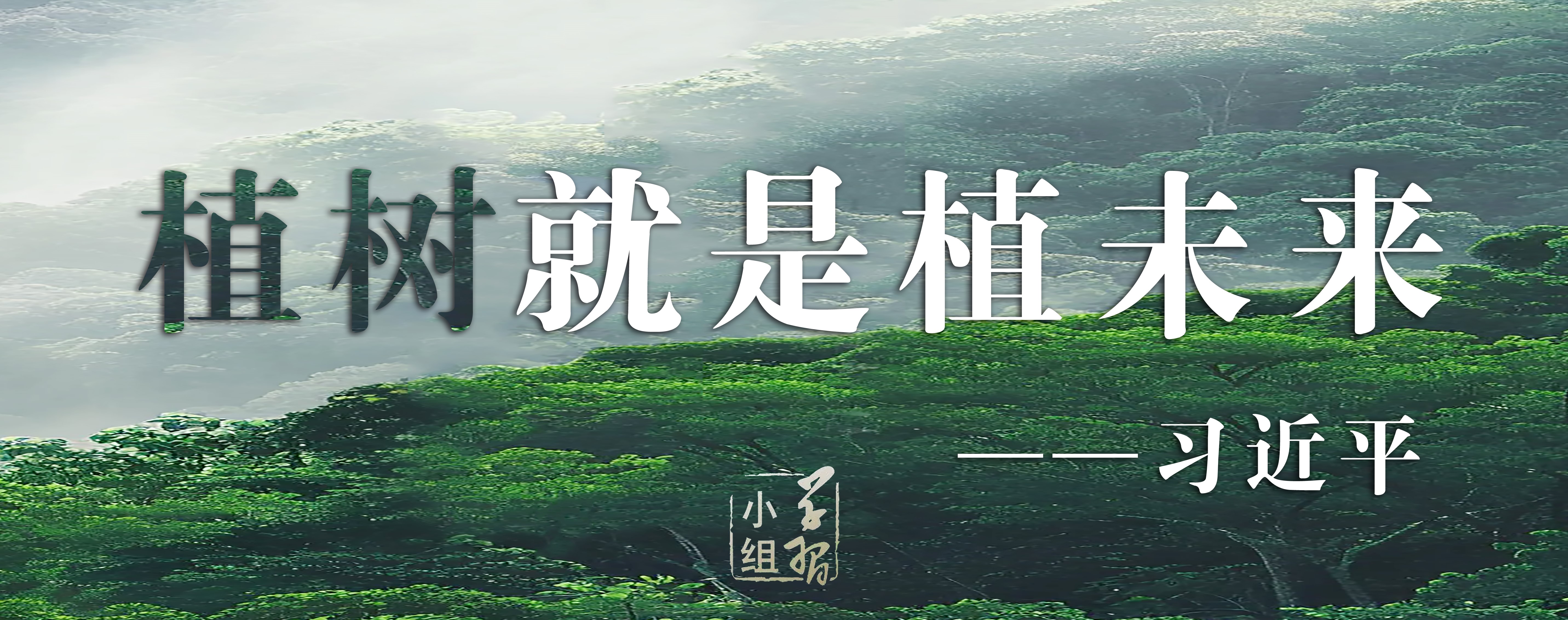 1742375484195033.jpg 植樹 .jpg