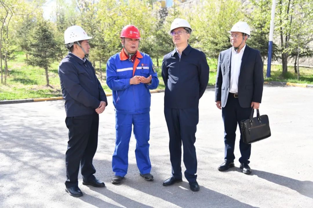 1747387993296867.jpg 640.jpg