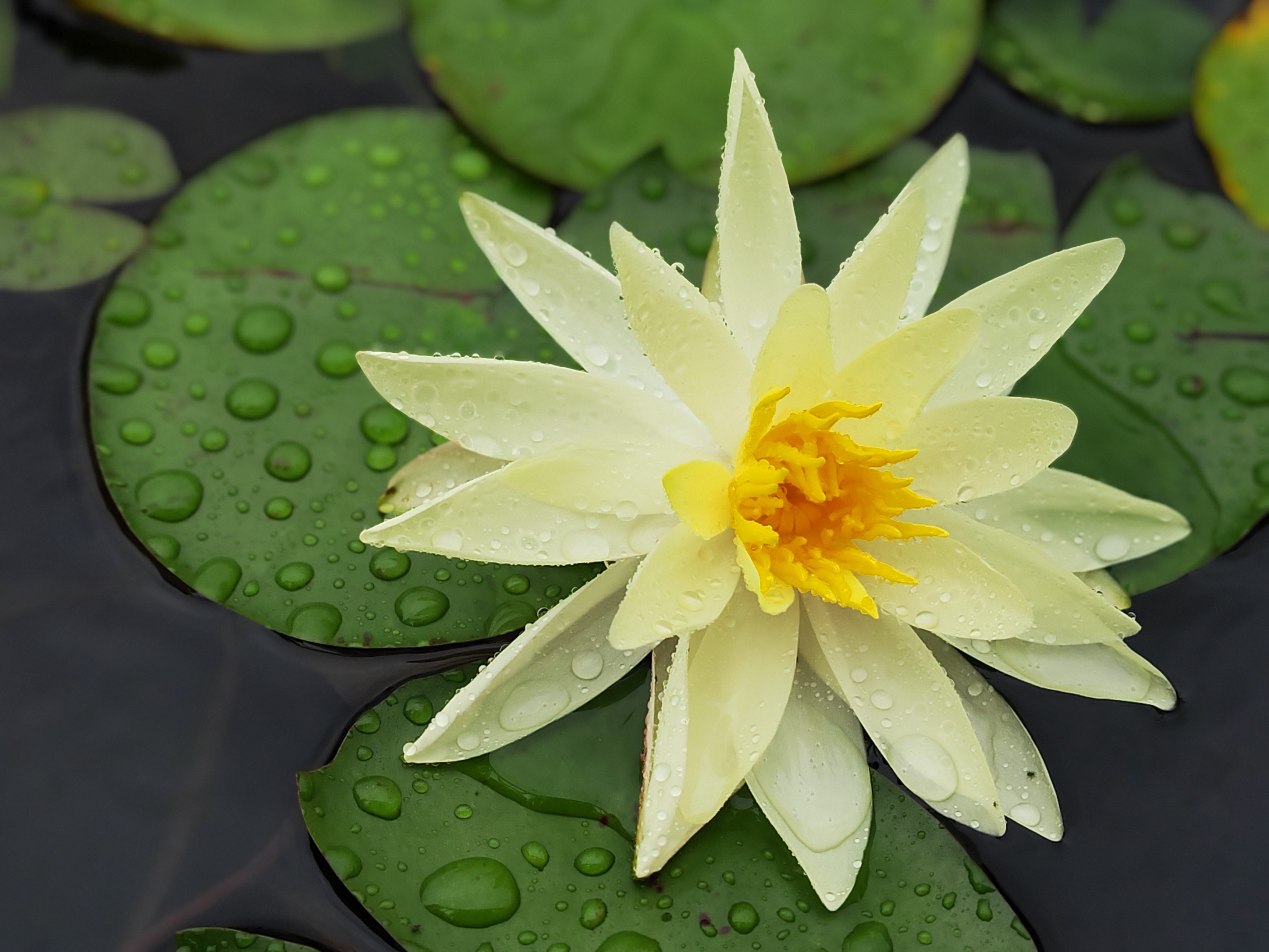 文縣公司1號 已發(1).jpg